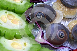 Snail and bitter lemon on dish