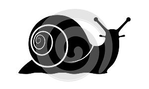 Snail black icon