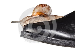 Snail on boot toe