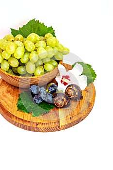 A snail and a bunch of grapes with hibiscus color on a wooden board. White background