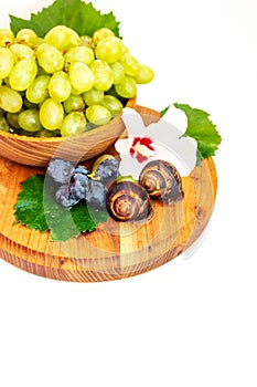 A snail and a bunch of grapes with hibiscus color on a wooden board. White background