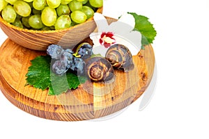 A snail and a bunch of grapes with hibiscus color on a wooden board. White background