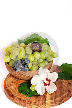 A snail and a bunch of grapes with hibiscus color on a wooden board. White background