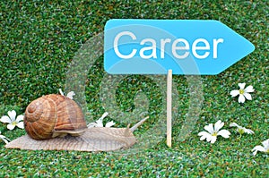 Snail and Career sign