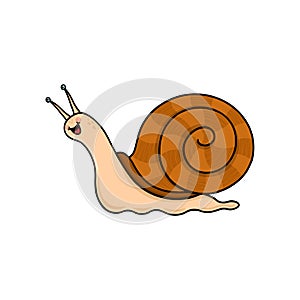 Snail cartoon on white background. Slow pace concept