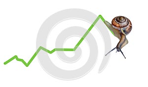 Snail on chart currency