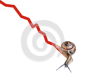 Snail on chart currency