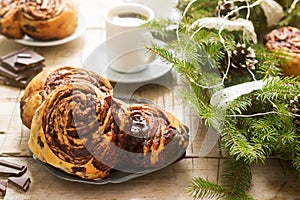 Snail chocolate muffins served with coffee on the background of a wreath of fir branches and cones. Rustic style