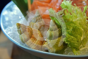 Snail clams sashimi platter