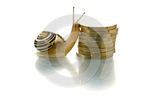 Snail climbing coins