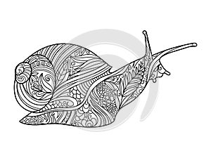 Snail coloring book for adults vector photo