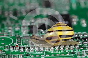 Snail on a conductor board