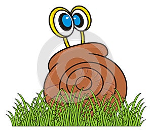 Snail crawled into a shell