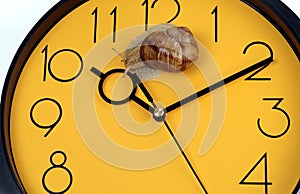 The snail is crawling on the clock face.