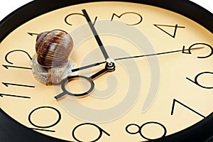 The snail is crawling on the clock face.