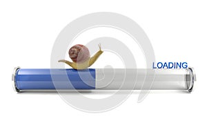 Snail crawling on download bar