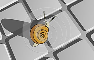 Snail Crawling On The Floor or Tile, View From above. Symbol of Slowness. Modern flat Vector illustration.