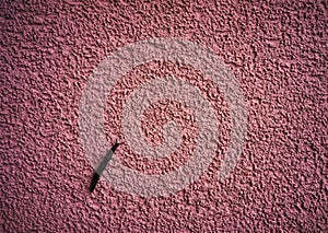 Snail is crawling up the wall