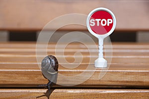 A snail crawling on a wooden bench and trying to bypass in the red stop sign. A slug and a toy stop sign.