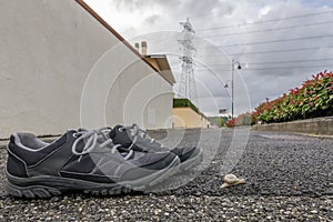 A snail crawls on the asphalt near a pair of sneakers with a high voltage pylon in the background and the cloudy sky