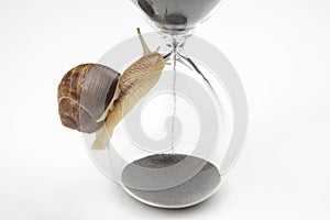 Snail crawls on the hourglass. time and stability. the transience of time and slowness in choosing success. the cyclical photo