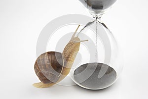 Snail crawls on the hourglass. time and stability. the transience of time and slowness in choosing success. the cyclical