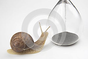 The snail crawls on the hourglass. time and stability. the transience of time and slowness in choosing success. the cyclical