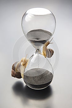 The snail crawls on the hourglass. time and stability. the transience of time and slowness in choosing success. the cyclical