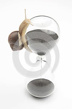 The snail crawls on the hourglass. time and stability. the transience of time and slowness in choosing success. the cyclical