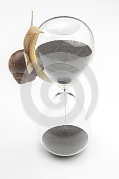 The snail crawls on the hourglass. time and stability. the transience of time and slowness in choosing success. the cyclical