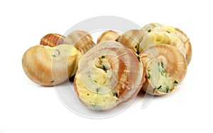 Snail escargot prepared as food photo