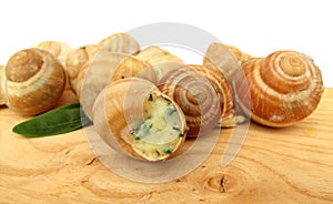 Snail escargot prepared as food photo