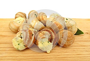 Snail escargot prepared as food photo