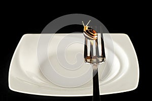 Snail on a fork against a white plate