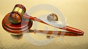 Snail and hammer of justice. The concept of slow adoption of laws and judicial decision. law and law in society