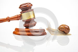 Snail and hammer of justice on a white background. The concept of slow adoption of laws and judicial decision. law and law in