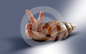 Snail & hand