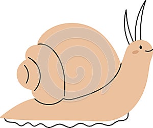 Snail Hand Drawn