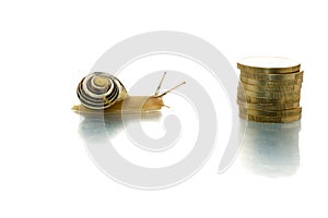Snail heading to coins