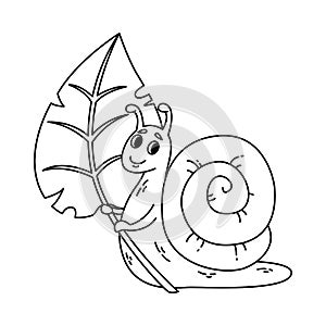 Snail holding a leaf. Vector cute illustration isolated on white background. Kids illustration of lovely slugs with shell. Outline