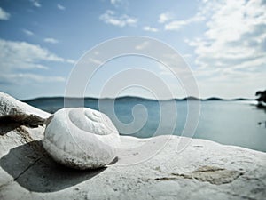 Snail house on the beach (18)