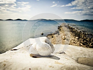 Snail house on the beach (26)