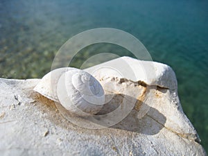 Snail house on the beach (32)