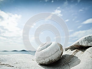 Snail house on the beach