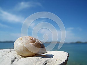 Snail house on the beach (9)