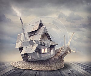 Snail house