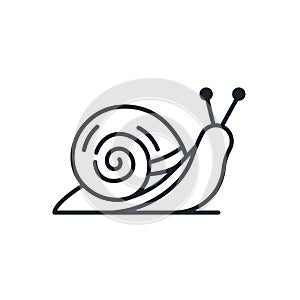 Snail icon, slug. Mollusk invertebrates. Isolated vector illustration