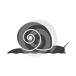 Snail icon. Vector on a white background