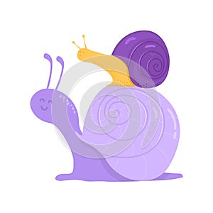 Snail with its baby on its shell on white.