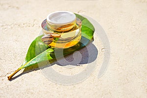 Snail and a jar of skin cream on green leaf on concrete background. Snail slime.